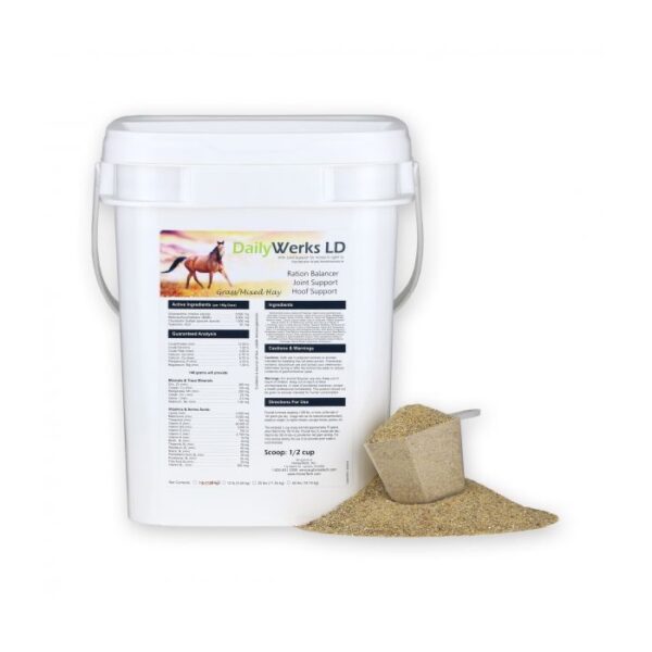 DailyWerks LD (HorseTech)
