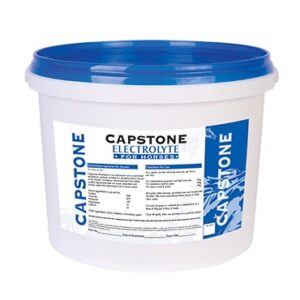 Electrolyte (Capstone Horse Feed)