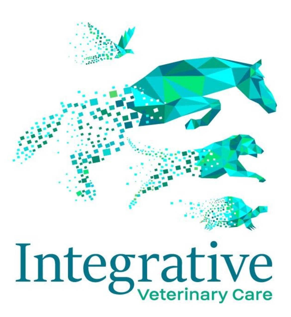 Adrien Zap - Equine Veterinarian