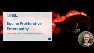 Equine Proliferative Enteropathy: Infection with Lawsonia intracellularis – Mad Barn Vet Talk