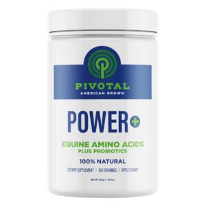 Power + (Pivotal)