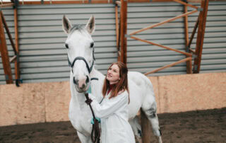 purpura-hemorrhagica-in-horses