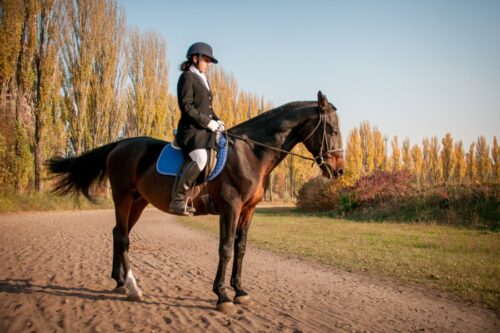 exercise intolerance in horses