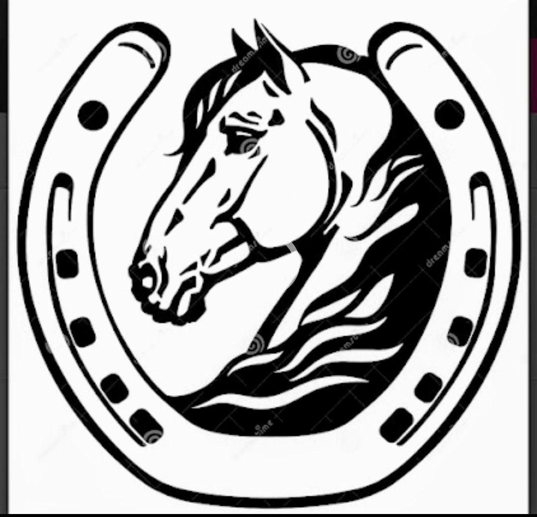 Michelle’s Farrier Service - Farrier