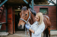 Sepsis & Toxic Shock in Horses: Pathophysiology, Causes & Prognosis