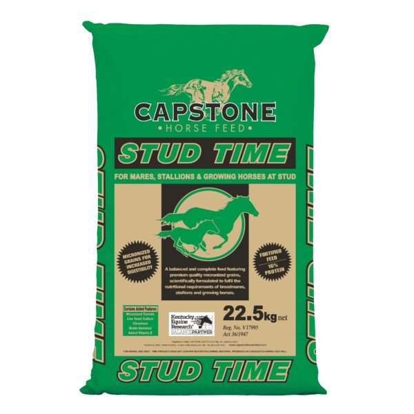 Stud Time (Capstone Horse Feed)