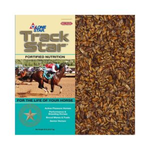 1093 – Track Star 3 (Lone Star)