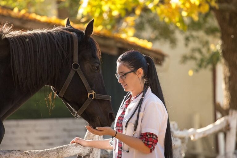 Blood Testing for Nutrient Deficiencies in Horses