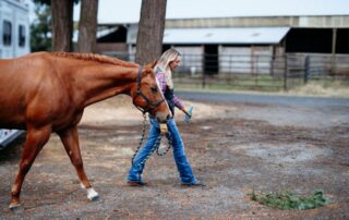 cost of buying and keeping a horse