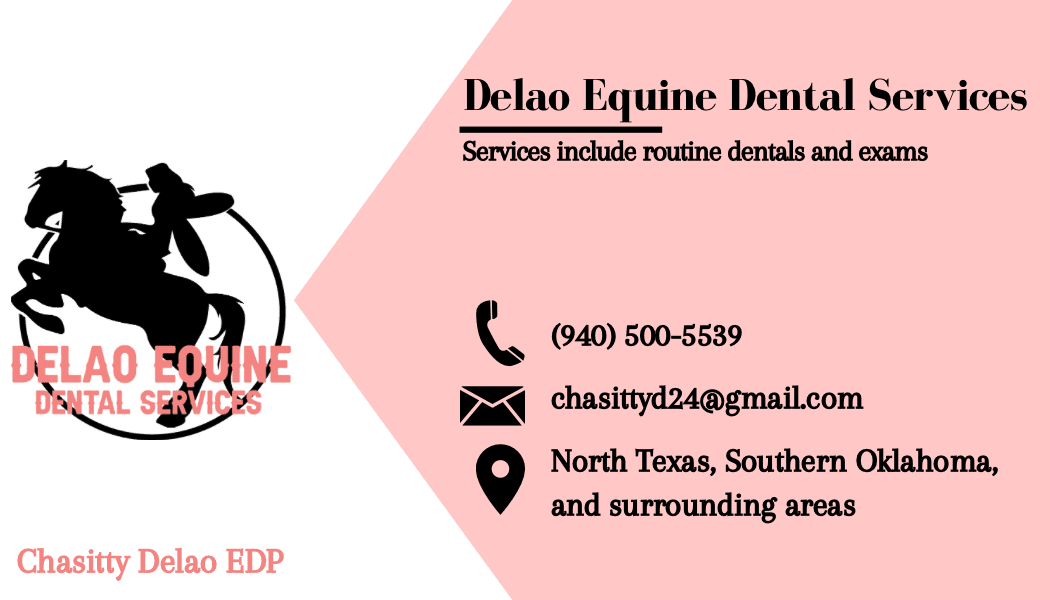 Chasitty Delao - Dental Practitioner