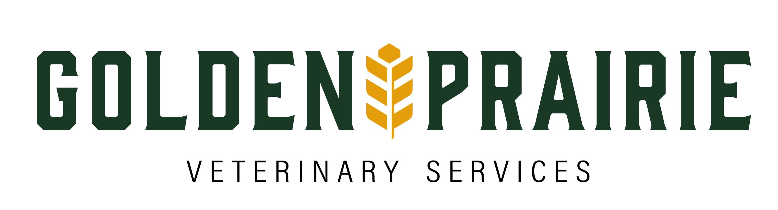 Kristy Oatway - Equine Veterinarian