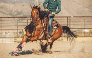 horse-injuries-western-disciplines
