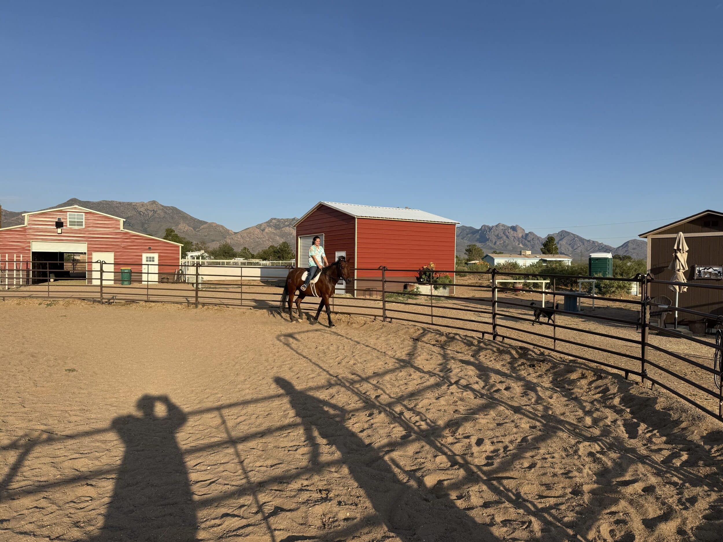 Organ Mountain Ranch - Boarding Stable