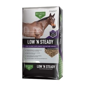 Low ‘N Steady (Buckeye)