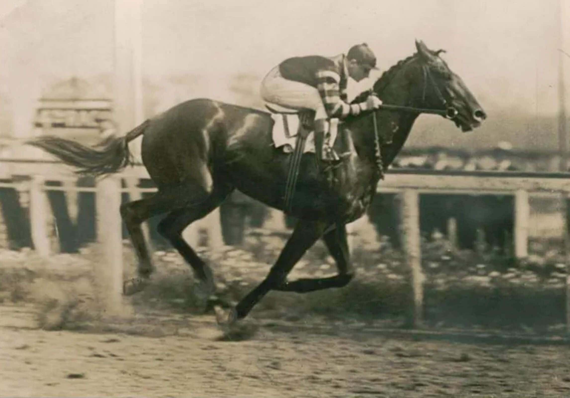 Man o' War