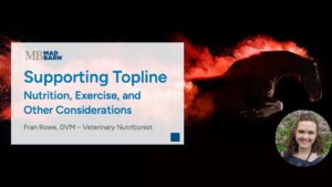 Supporting Topline in Horses: Nutrition, Exercise, and Other Considerations – Mad Barn Vet Talk