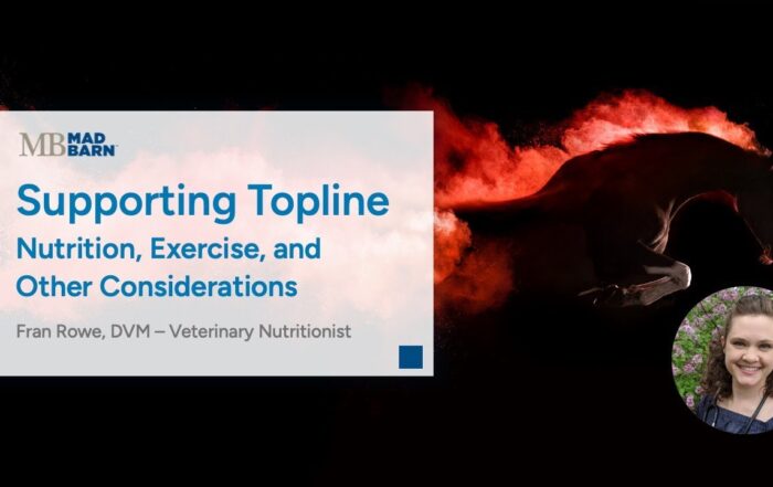 Supporting Topline in Horses: Nutrition, Exercise, and Other Considerations – Mad Barn Vet Talk