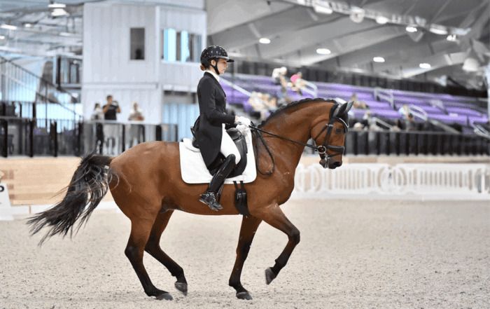 Megan Shea, Grand Prix Dressage Rider