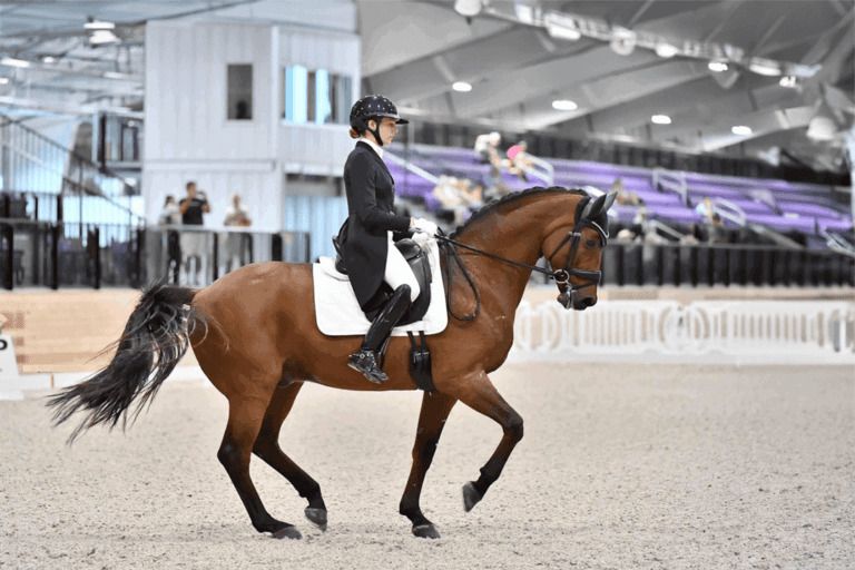 Megan Shea - Dressage Athlete - Equestrian Profile