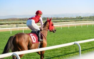 most-famous-thoroughbreds-of-all-time