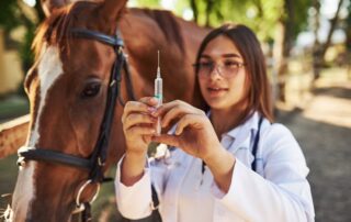 side-effects-of-vaccines-in-horses