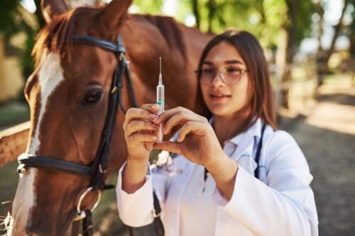 side-effects-of-vaccines-in-horses