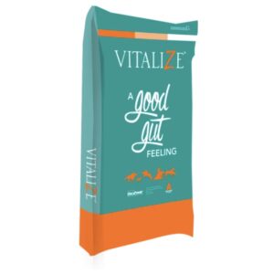 Vitalize Equine High Performance (Biozyme)