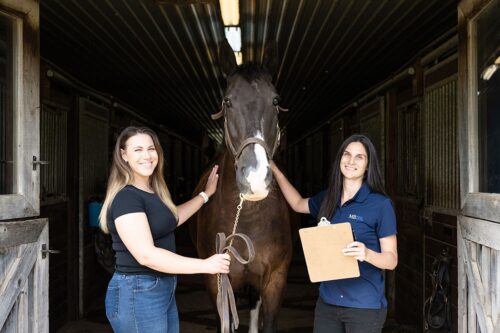 2023 Equine Research Study Review