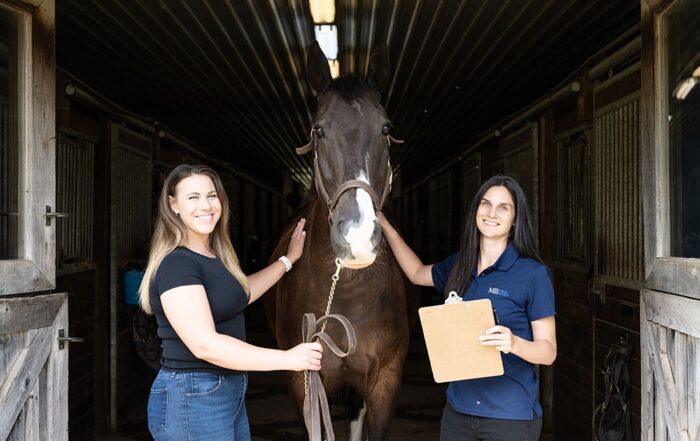 2023 Equine Research Study Review