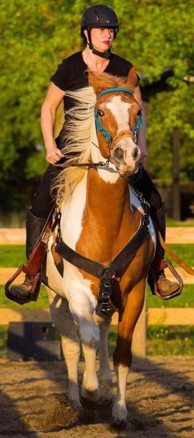 Jennifer Stankiewicz - Coaches & Trainers