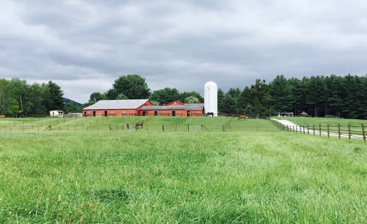 Sunny Slope Stable - Boarding Stable