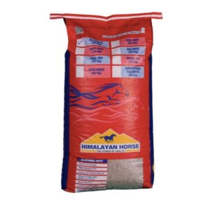 All-Phase (Himalayan Horse)