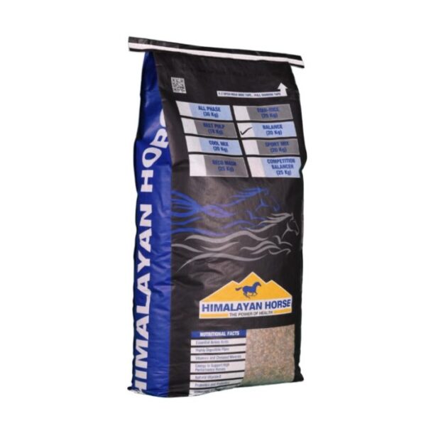 Balance (Himalayan Horse)