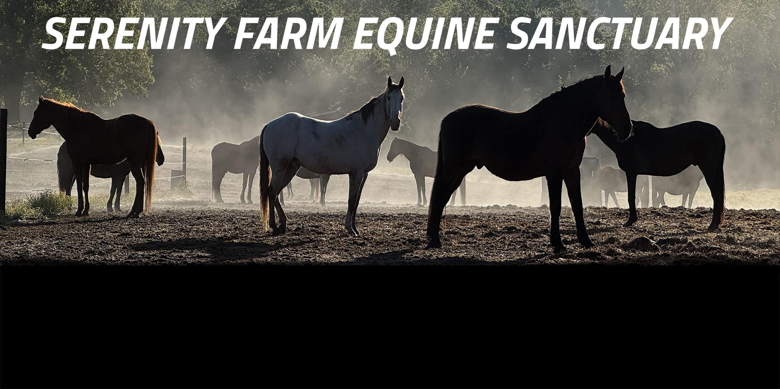 Serenity Farm Equine Sanctuary - Boarding Stable
