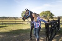 Why is my Horse Ring Sour? Guide to Equine Performance Issues [Behavior Guide]