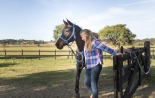 behavior-guide---ring-sour-in-horses