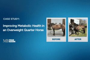 Case Study: Improving Metabolic Health in an Overweight Quarter Horse Mare