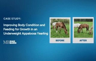 case study: improving body condition and feeding growth in an underweight appaloosa yearling