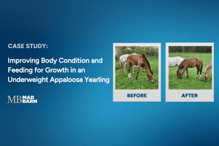 case study: improving body condition and feeding growth in an underweight appaloosa yearling