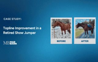 case study: topline improvement in a retired show jumper