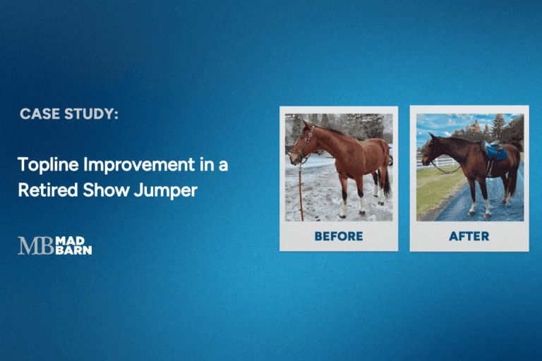 case study: topline improvement in a retired show jumper