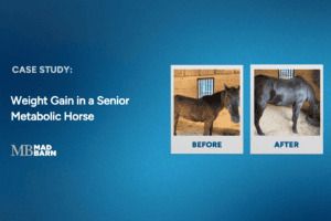 Case Study: Weight Gain in a Senior Metabolic Horse