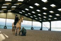 Top Careers in the Equine Industry: Making a Living With Your Passion for Horses