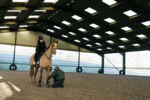 Top Careers in the Equine Industry: Making a Living With Your Passion for Horses