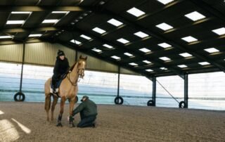 equine-inustry-careers