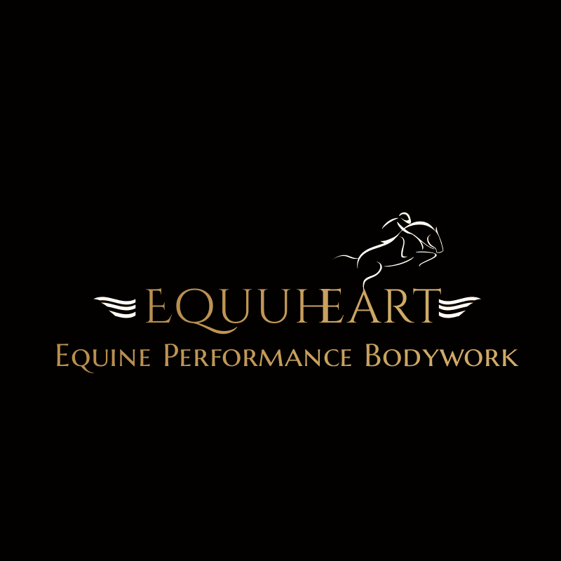 Sasha Laurin - Equine Massage Therapist