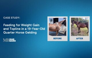Feeding for Weight Gain & Topline in a 19-Year-Old Quarter Horse Gelding Nutrition Case Study
