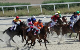 horse-racing-discipline-guide