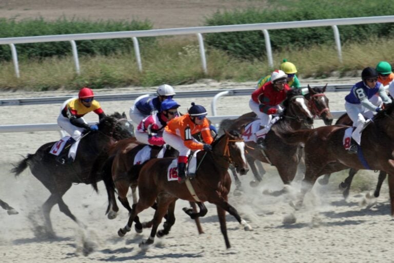 horse-racing-discipline-guide