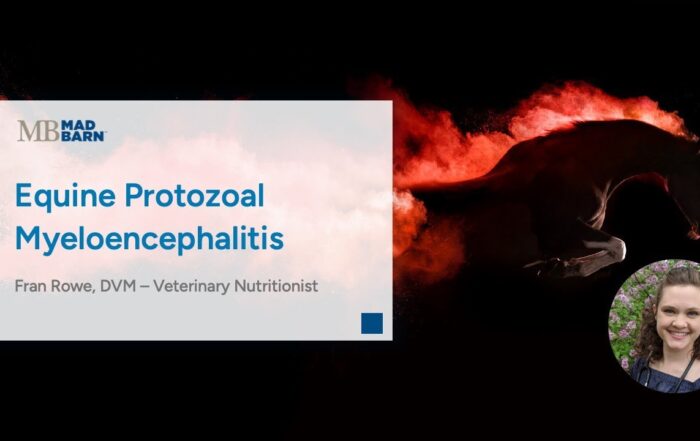 Equine Protozoal Myeloencephalitis (EPM) in Horses – Mad Barn Vet Talk